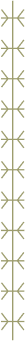 decoration